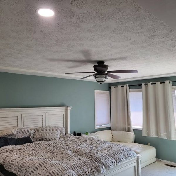 ceiling fan and wafer lights
